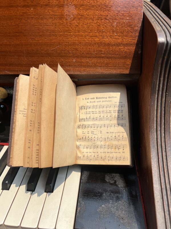 ออแกนลม - Image 7