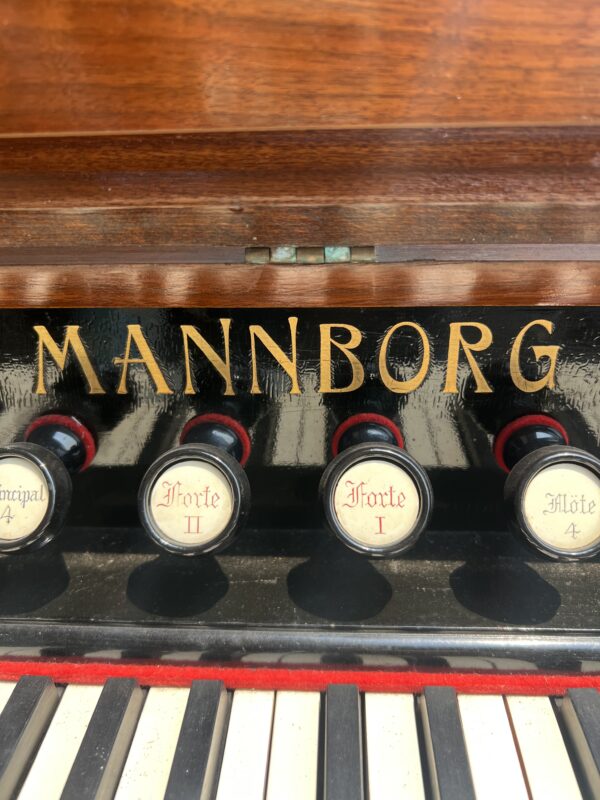 ออแกนลม - Image 9