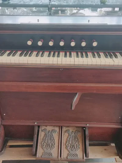 ออร์แกนลมวินเทจแท้